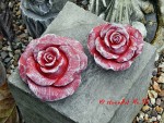 2 Rosenblüten - 10 cm und 13 cm